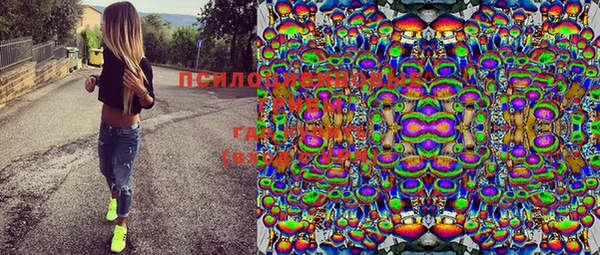 PSILOCYBIN Богданович