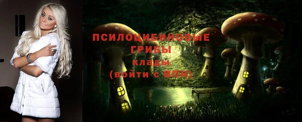 PSILOCYBIN Богданович