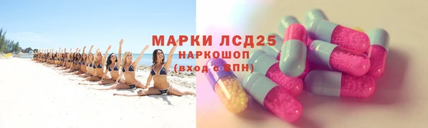 PSILOCYBIN Богданович