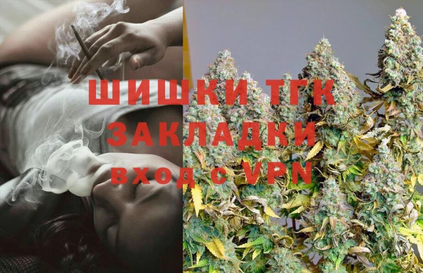 гидра Верея