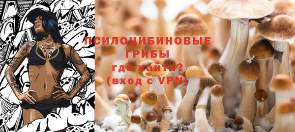 PSILOCYBIN Богданович