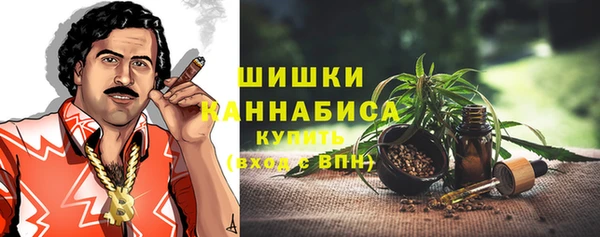 тгк Снежинск