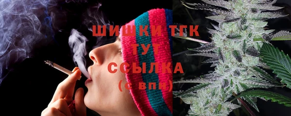 гидра Верея