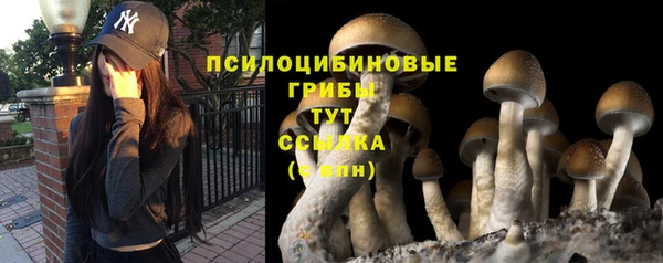 таблы Богородицк