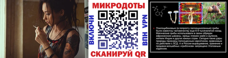 Псилоцибиновые грибы Psilocybine cubensis  Пионерский 